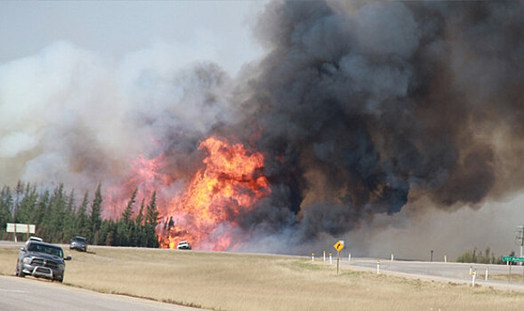 Жителей запада Канады эвакуируют из-за лесных пожаров