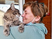 Ученые выяснили, как общаться с кошками глазами