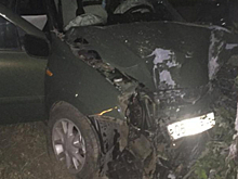 В Семилуках погиб водитель «Лады Калины», протаранивший дерево