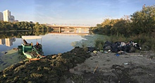 Гниющие водоросли и мусор: за мостом у «Мегаполиса» заканчивается цивилизация