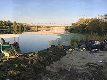 Гниющие водоросли и мусор: за мостом у «Мегаполиса» заканчивается цивилизация