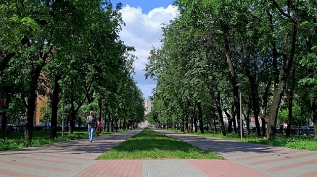 Сквер на Звездинке осовременят в Нижнем Новгороде