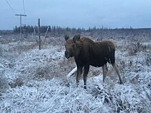 Климат хотят сделать самым прибыльным бизнесом
