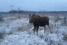 Климат хотят сделать самым прибыльным бизнесом