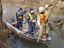 В Курске возле школы №16 расчистили протоку реки Кривец