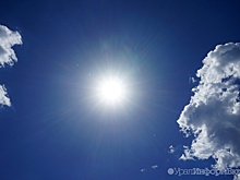 ВОЗ видит связь между вспышкой оспы обезьян и изменением климата