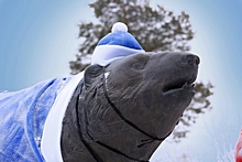 В Ноябрьске скульптуры медведей одели в новогодние накидки