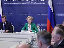 Ирина Яровая: типовые договоры в сфере услуг — ключ к безопасности потребителей