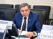 Городецкий рассказал об исполнении регионами постановлений Совфеда
