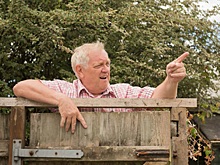 Горячие сотки: из-за чего чаще всего ругаются соседи по даче