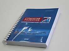 Депутаты гордумы войдут в комиссию по Стратегии развития Нижегородской области
