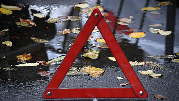 В Нижегорском районе погиб престарелый мопедист