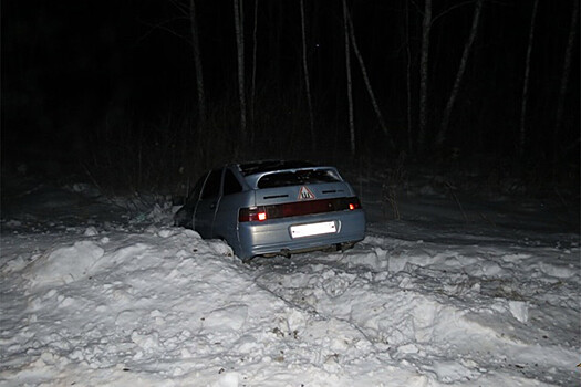 Полиция спасла заблудившихся угонщиков автомобиля