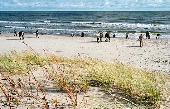 В нацпарке «Куршская коса» придумали новое развлечение для туристов