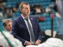 Плющев оценил вероятность того, что Знарок возглавит клуб НХЛ