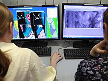 Аномалии-2019: Власть будет наказывать виноватых за плохую погоду