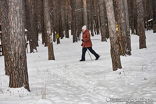 Снег и до минус 6 градусов ожидается в столичном регионе во вторник