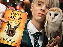 Названо время выхода новых книг по вселенной Гарри Поттера