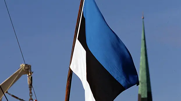 В Госдуме рассказали, почему Эстония смогла перекрыть дорогу в РФ