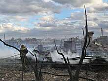 После крупного пожара в Омской области задержали начальника районных электросетей