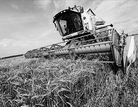 Сельское хозяйство России почти достигло своего потолка