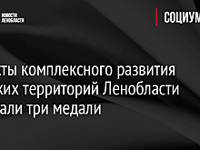 Проекты комплексного развития сельских территорий Ленобласти выиграли три медали