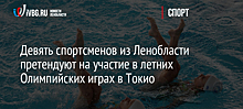 Девять спортсменов из Ленобласти претендуют на участие в летних Олимпийских играх в Токио