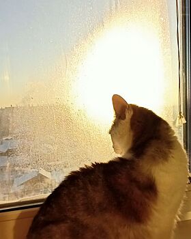 В выходные в семи городах Челябинской области – неблагоприятные метеорологические условия