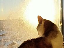 В выходные в семи городах Челябинской области – неблагоприятные метеорологические условия