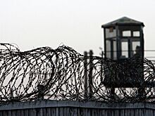 Российский правозащитник попросил проверить освобождение скопинского маньяка