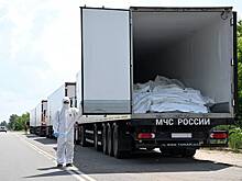 Военкор рассказал о разнице количества тел бойцов при обмене с Украиной