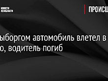 Под Выборгом автомобиль влетел в дерево, водитель погиб