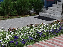 В Чебоксарах ЖКХ готовятся к празднованию Дня города