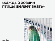 Каждый хозяин птицы желает знать …