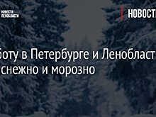 В субботу в Петербурге и Ленобласти будет снежно и морозно