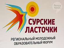 В молодежном форуме «Сурские ласточки» под Пензой примут участие 150 человек