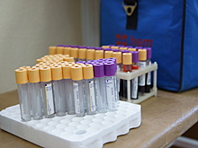 Награду для доноров могут учредить в Подмосковье