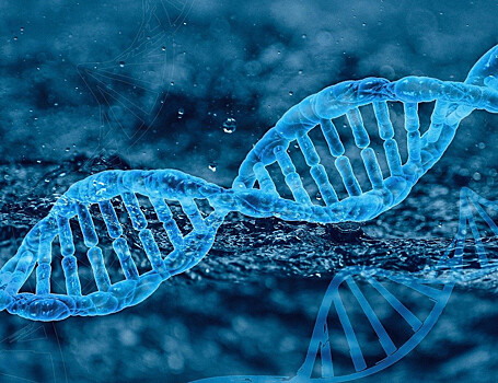 Изучены подробности процесса экспрессии генов