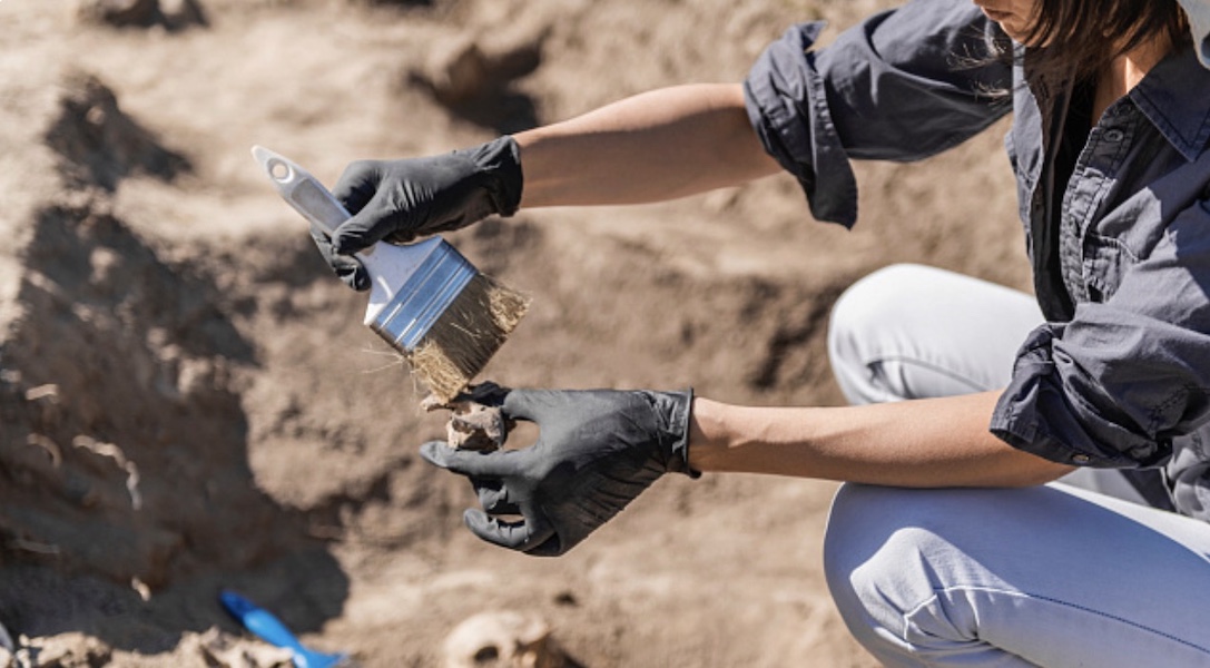 Ученые из КНР раскрыли климатические особенности раннего мелового периода по окаменелым устрицам