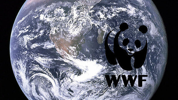 WWF запустил кампанию «Верни день планете»