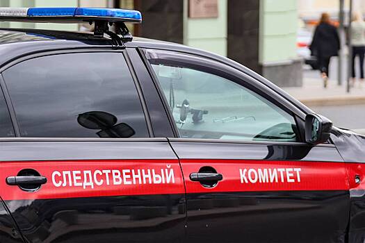 Появились новые детали об обнаружении растерзанных нянь в деле богородского маньяка