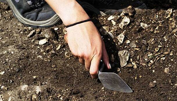 В Польше обнаружили массовое захоронение "кричащих русских"