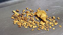 В Кузбассе могут лишить лицензии золотодобытчиков из-за загрязнения реки