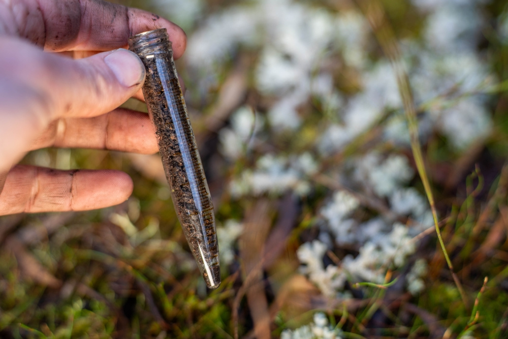 В почве обнаружены микроорганизмы, которые могут вызвать дождь