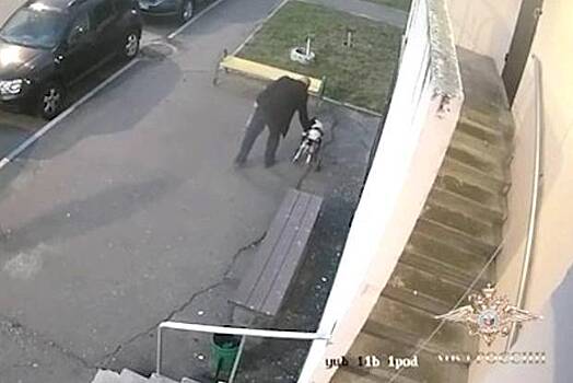 Жителя Подмосковья задержали за избиение собаки-инвалида