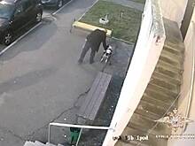 Жителя Подмосковья задержали за избиение собаки-инвалида