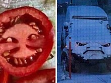 14 фото, которые сломают ваш мозг