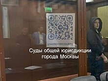 Бывший зампред правительства Подмосковья Бронштейн признал вину по делу о взятке
