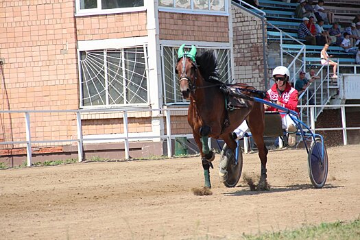 Нового руководителя Ижевского ипподрома планируют представить в начале октября