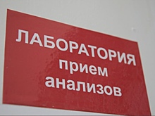 &quot;Где же наш Роспотребнадзор&quot;: клещи покусали уже 238 волгоградцев